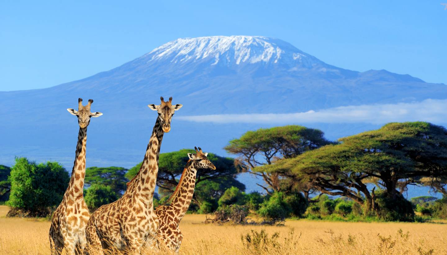 18 Days Tanzania Kilimanjaro Hiking Tour