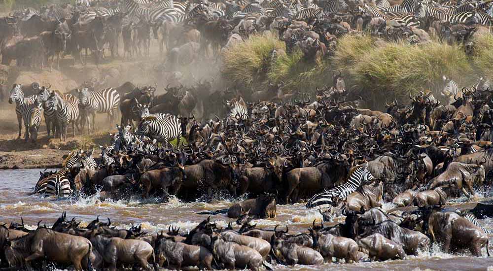 best time for wildebeest migration in Kenya
