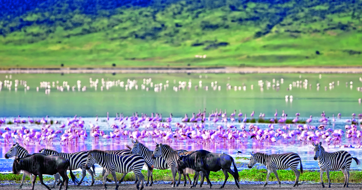 Ngorongoro Crater Conservation Area Safari Tanzania