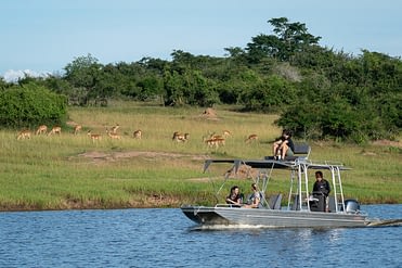 best Rwanda safari activities