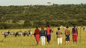 Nature walk safaris in Kenya