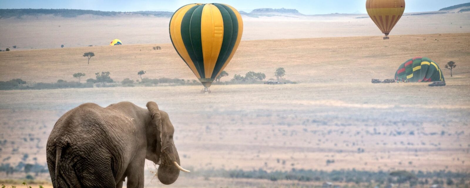 Ballon Safaris - Top 5 things to do in asai Mara National Reserve