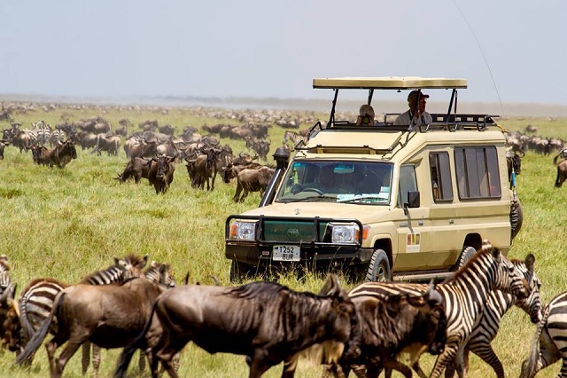 Game Drive safaris - Top 5 things to do at Masai Mara National Reserve 