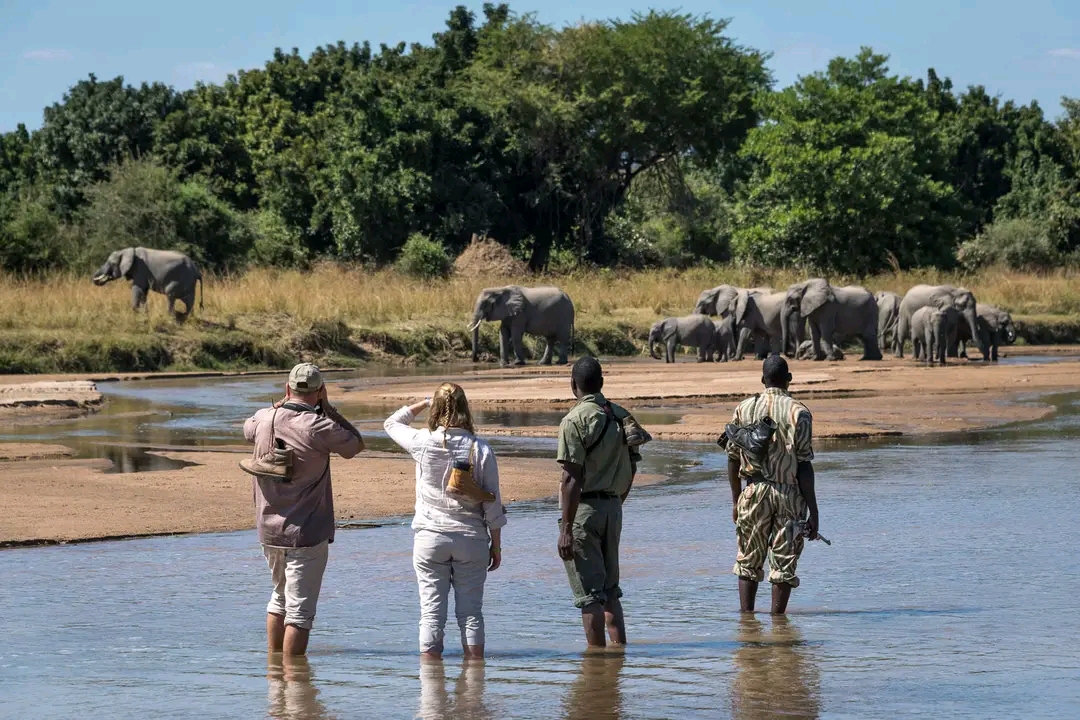 Uganda Adventure Safari