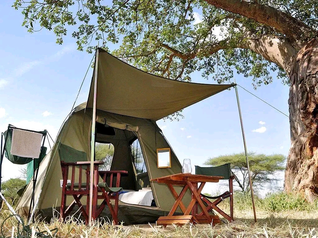 Camping safaris in Tanzania