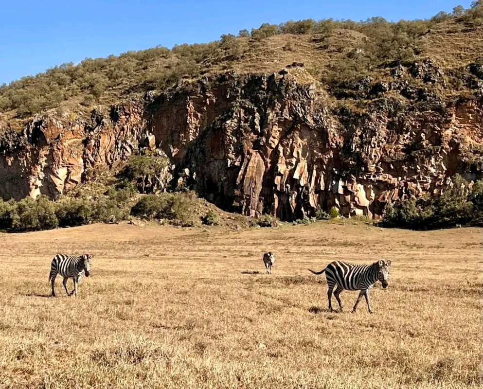 Hells Gate National Park Kenya Safari Tours Acacia Safaris