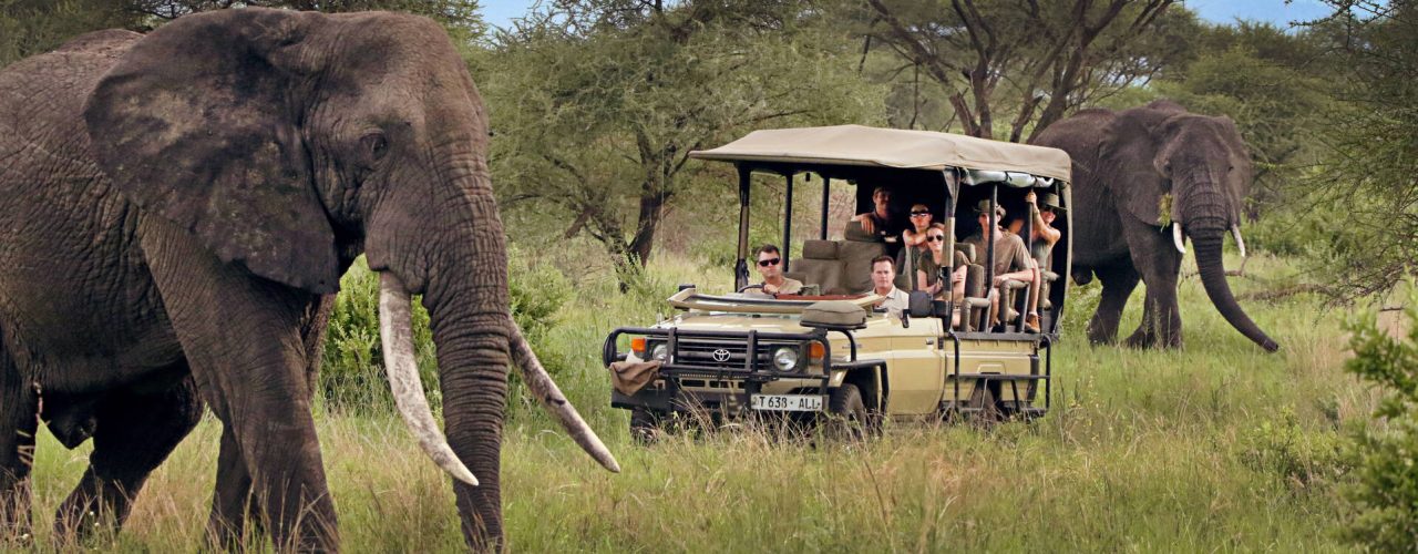 8 Days Tanzania Group Safari