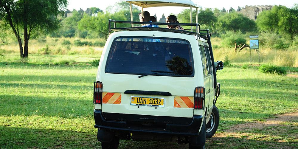 Best Uganda Wildlife Safari Ideas for tourists post COVID-19