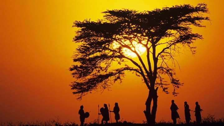 Things to do in Kenya on a budget