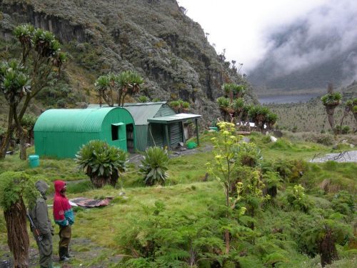 8 Days Rwenzori Mountains Tour