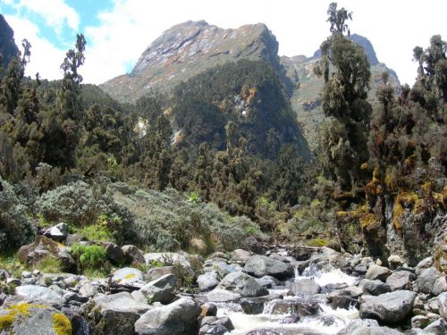 Mount elgon national park