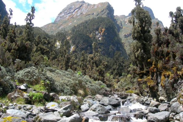 Mount elgon national park