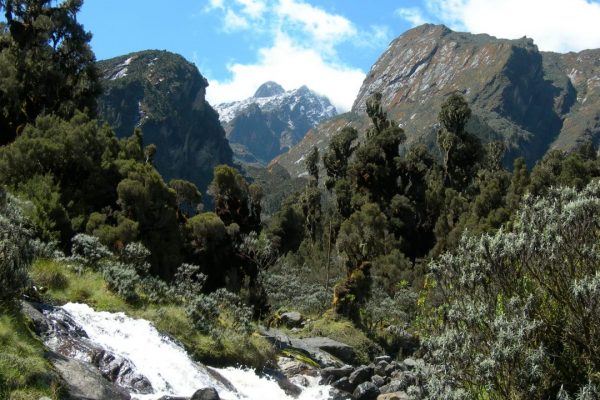 Mount elgon national park