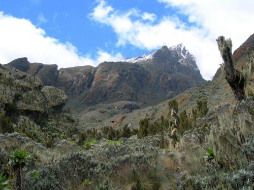 3 Days Mount Elgon Hiking Safari