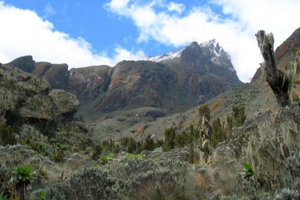 3 Days Mount Elgon Hiking Safari