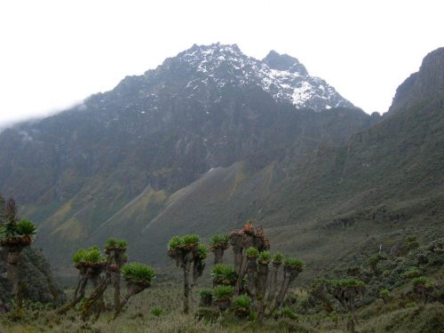 Mountain Elgon Climbing Tour