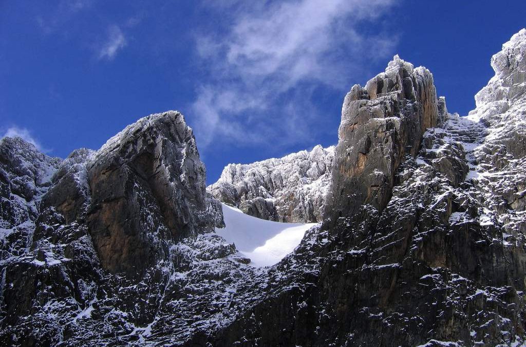 Rwenzori Uganda Safari