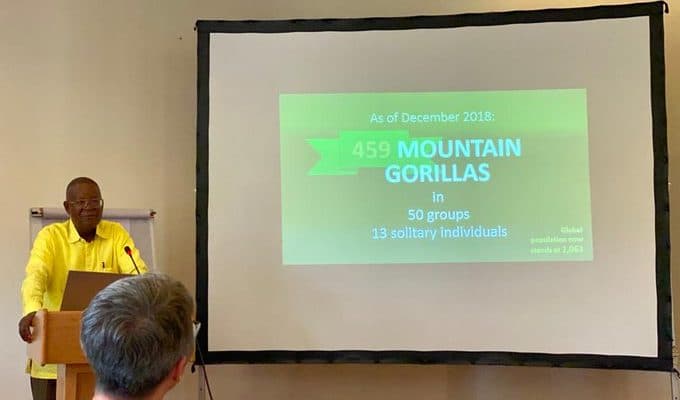 Mountain Gorillas increased from 36 groups in 2011 to 50 in 2018