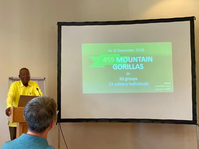 Mountain Gorillas increased from 36 groups in 2011 to 50 in 2018