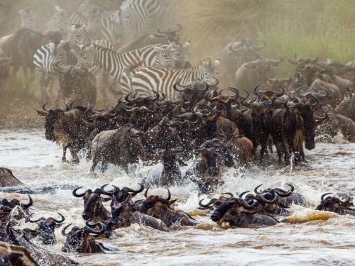 2 Days Camping Safari Tanzania