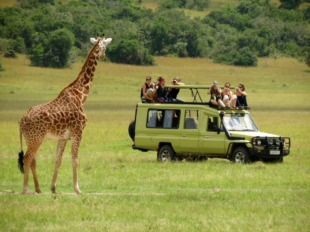 Kenya Safari from Nairobi