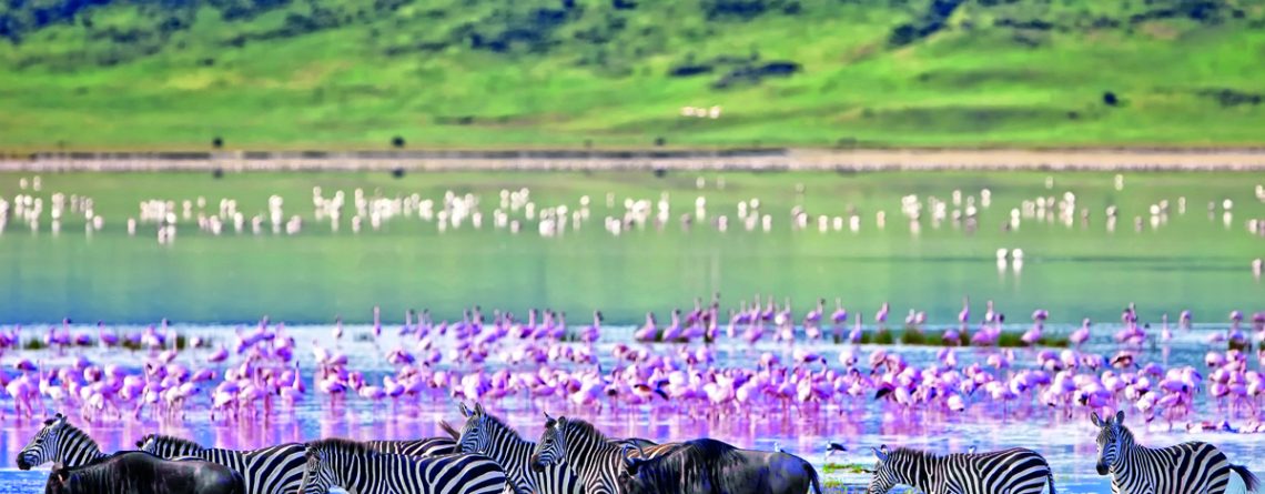 8 Days Birding Safari in Tanzania