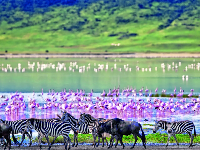 Lake Manyara Tanzania