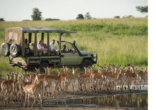 Here are the top 5 best Tanzania tours for 2021;