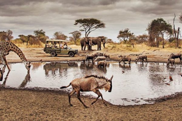 What are the best months to go to Tanzania?