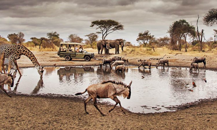 What are the best months to go to Tanzania?