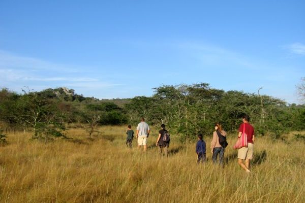 Nature walk safaris in Kenya