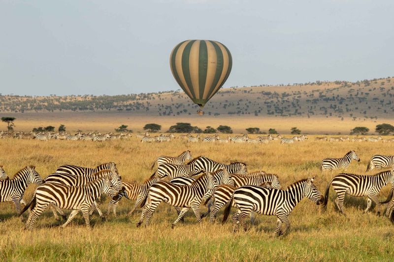 Hot Air Balloon Experience Safaris in Serengeti