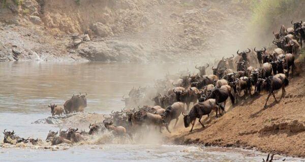 Best month to visit Masai Mara