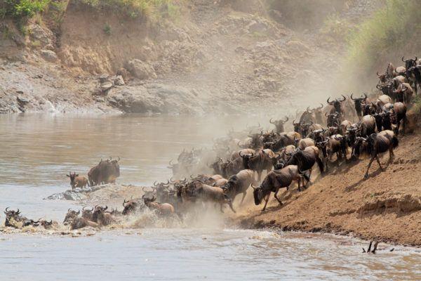 Best month to visit Masai Mara