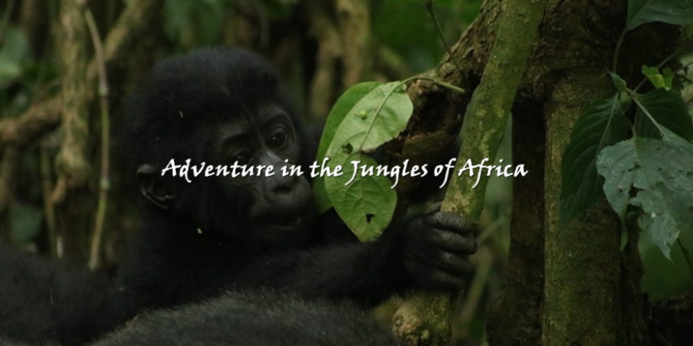Gorilla Trekking safari Uganda