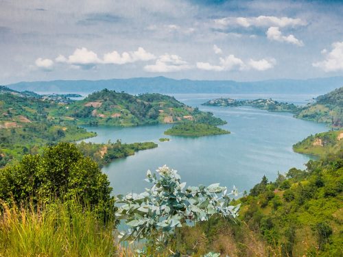 Uganda Safari Offers