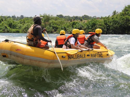 Best Uganda Safaris