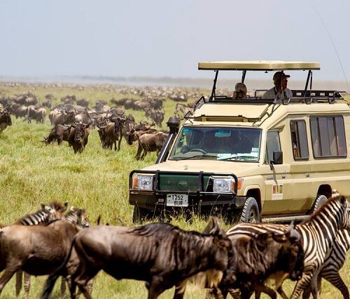 Trekking Safaris in Kenya