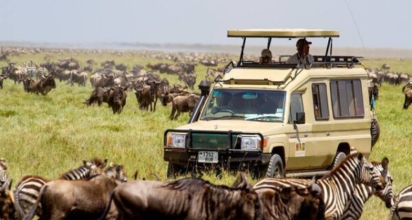 Trekking Safaris in Kenya