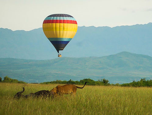 hot air balloon safari Uganda