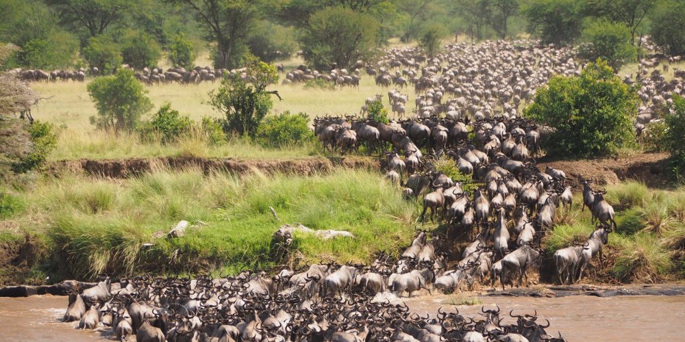 12 Days Tanzania Wildlife Safari Holiday