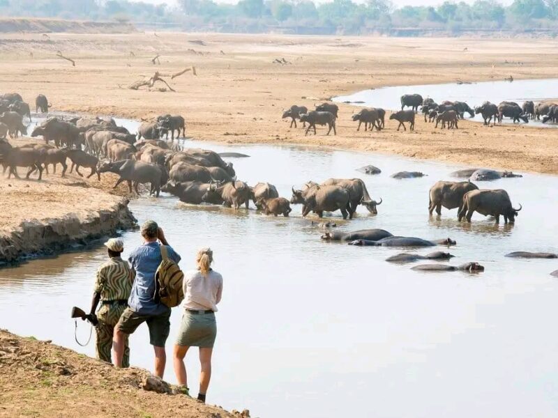 Nature Trekking Safaris in Kenya