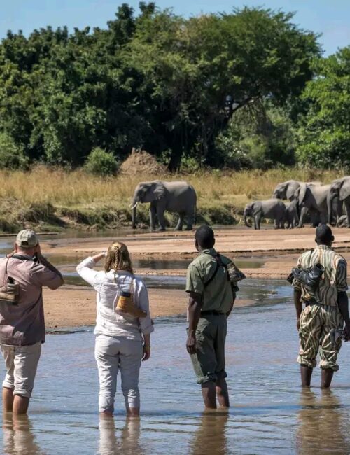 Nature Walking Safaris in Kenya