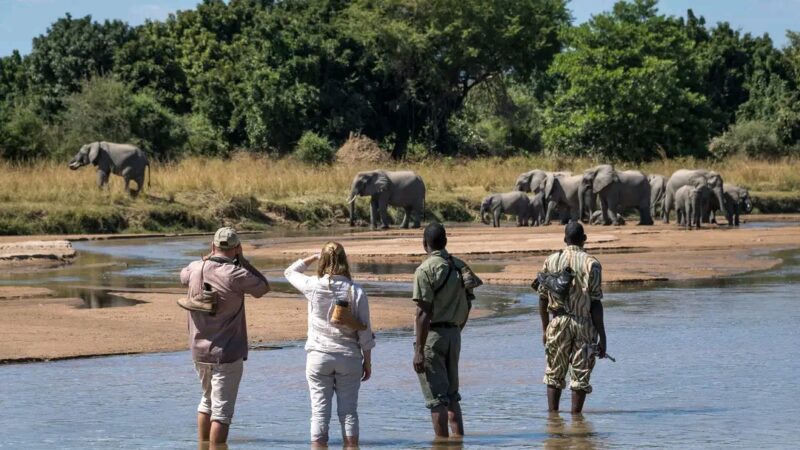 Nature Walking Safaris in Kenya