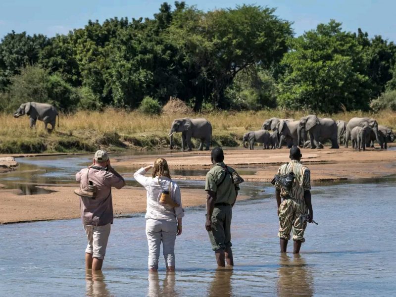 Nature Walking Safaris in Kenya