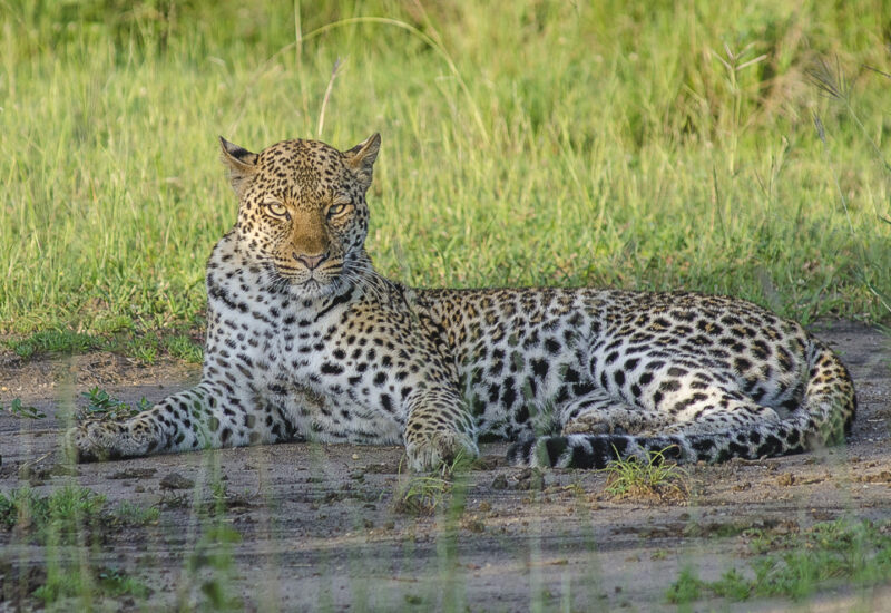 12 Days Tanzania Wildlife & Cultural Tour