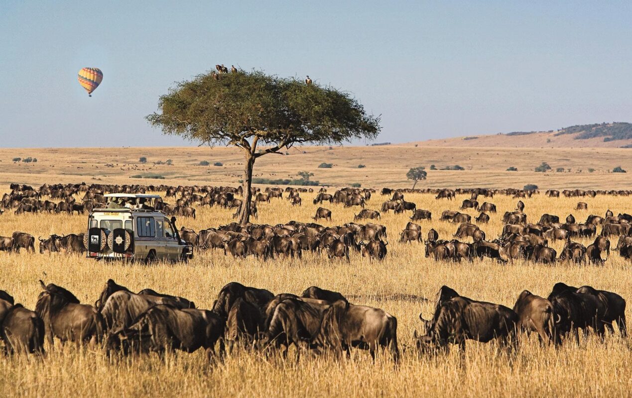 Central Serengeti & Seronera Valley