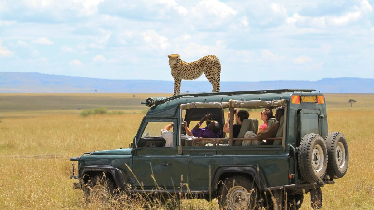 7 Days Family Safari in Kenya