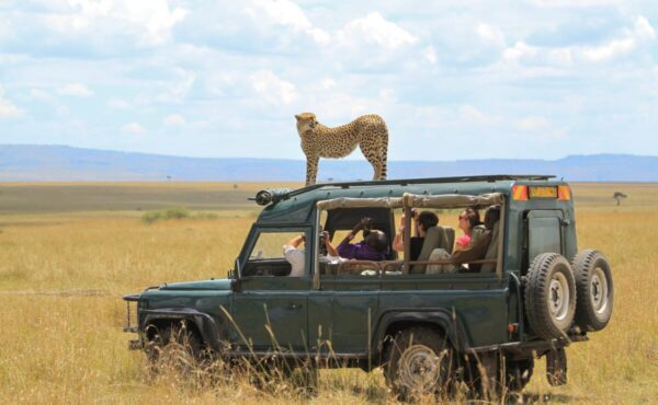 7 Days Family Safari in Kenya