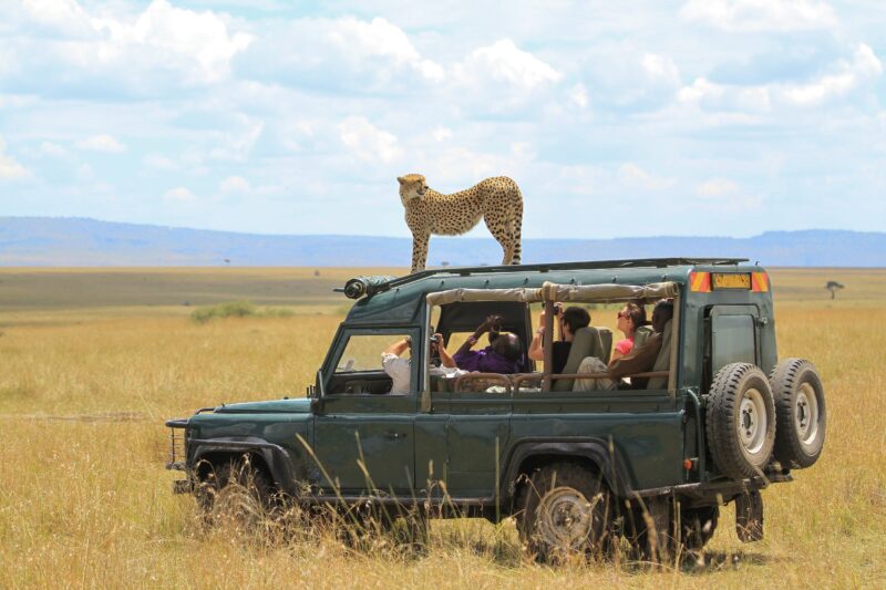 12 Days Tanzania Wildlife Safari tour